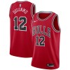 NBA Mænd Trøje Chicago Bulls Ayo Dosunmu 12 2022-23 Nike Icon Edition Rød Swingman